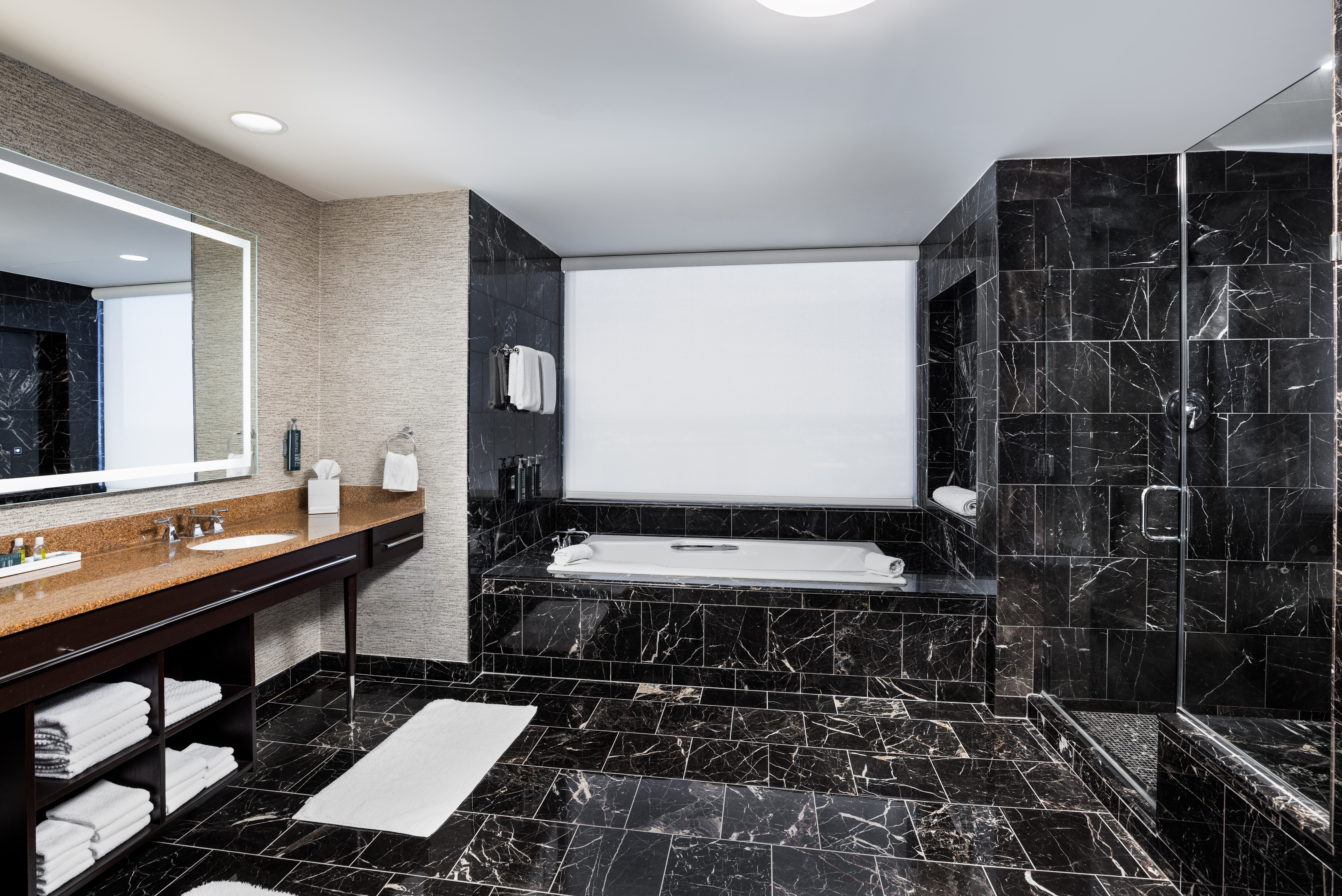 Presidential Suite 1-Bathroom - Photos